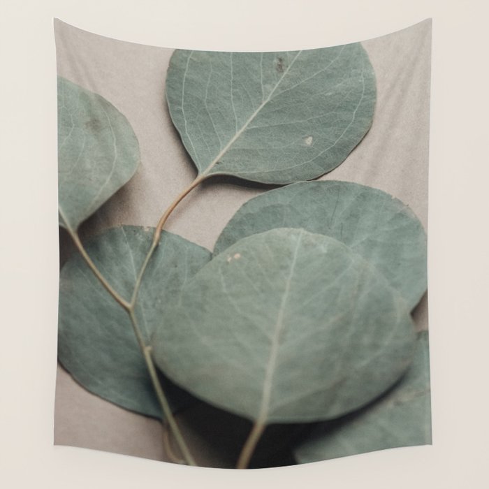Eucalyptus x botanical leaf photograph green houseplant Wall Tapestry Gallery Image 4