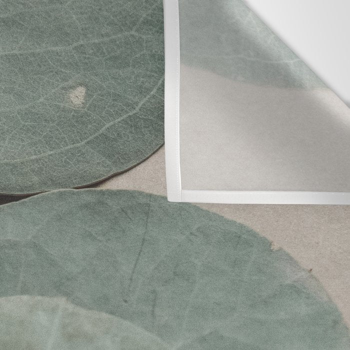 Eucalyptus x botanical leaf photograph green houseplant Wall Tapestry Gallery Image 3
