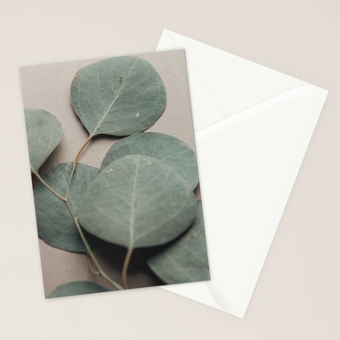 Eucalyptus x botanical leaf photograph green houseplant Stationery Card Gallery Image 2