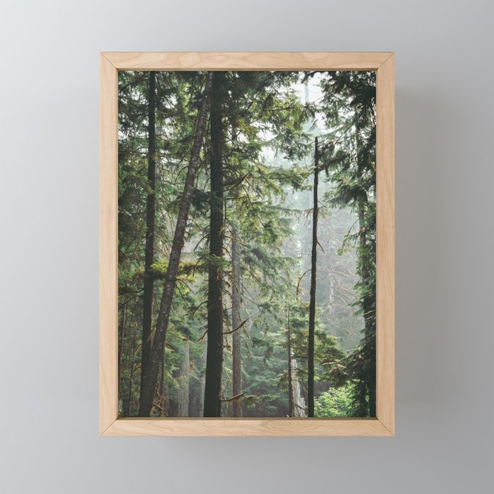Forest VIII Mini Art Print Gallery Image 1