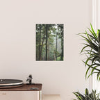 Forest VIII Poster Gallery Image 2