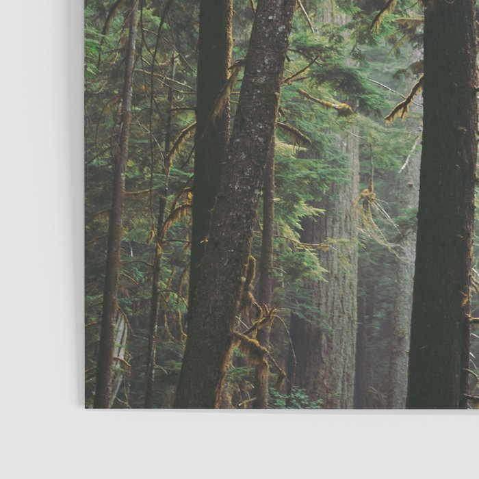 Forest VIII Poster Gallery Image 3