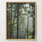 Forest VIII Serving Tray Gallery Image 1