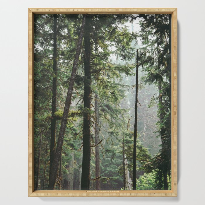 Forest VIII Serving Tray Gallery Image 1