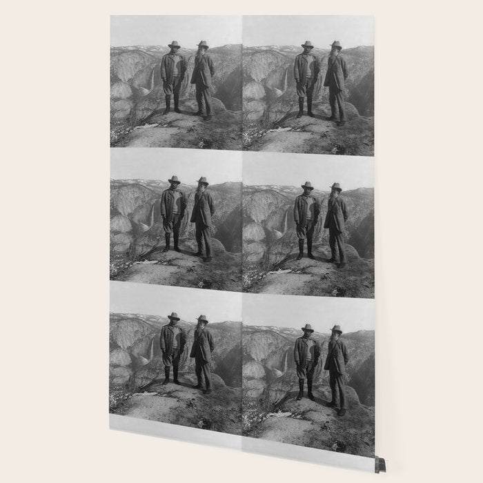 John Muir Teddy Roosevelt Yosemite National Park Wallpaper Gallery Image 2