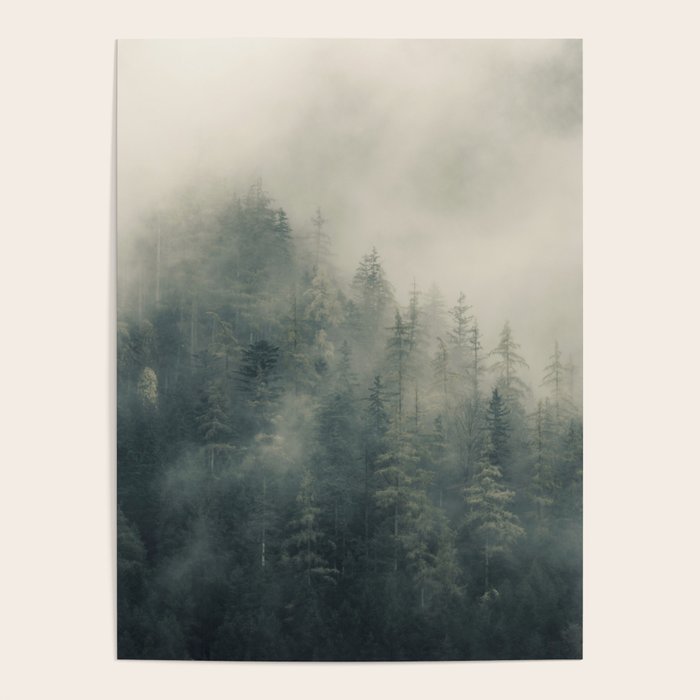 Misty Pine Forest 2 Poster Gallery Image 1