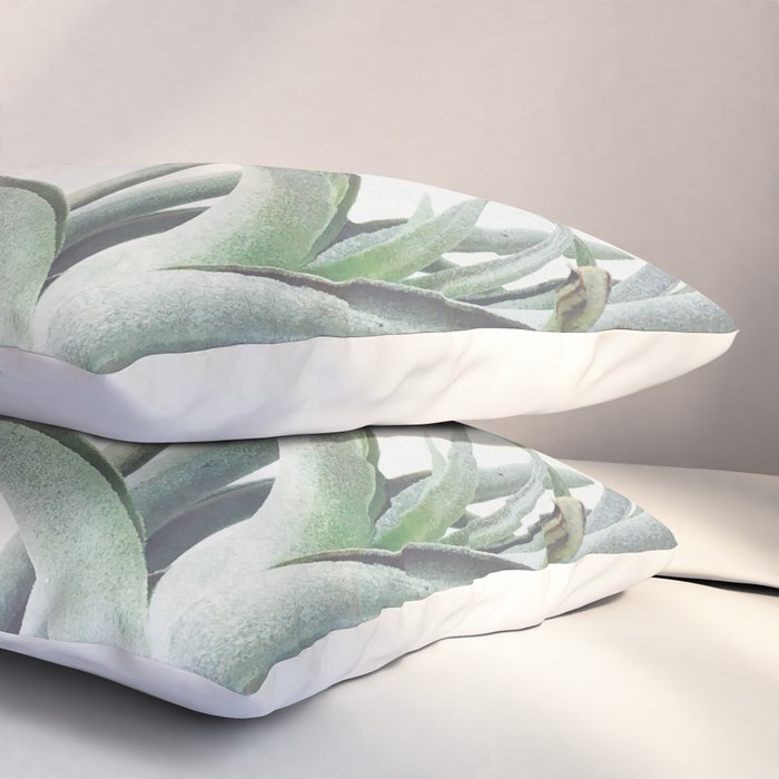 Air Plant II Pillow Sham Gallery Image 3