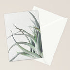 Air Plant II Stationery Card Gallery Image 2