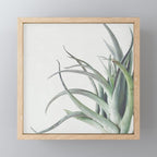 Air Plant II Mini Art Print Gallery Image 1