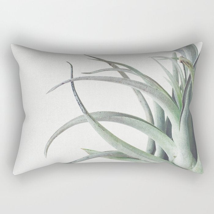 Air Plant II Rectangular Pillow Gallery Image 1
