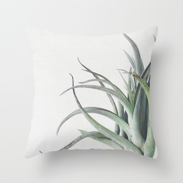 Air Plant II Throw Pillow Gallery Image 6