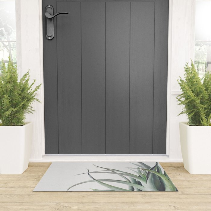 Air Plant II Welcome Mat Gallery Image 3
