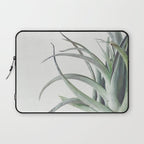 Air Plant II Laptop Sleeve Gallery Image 1