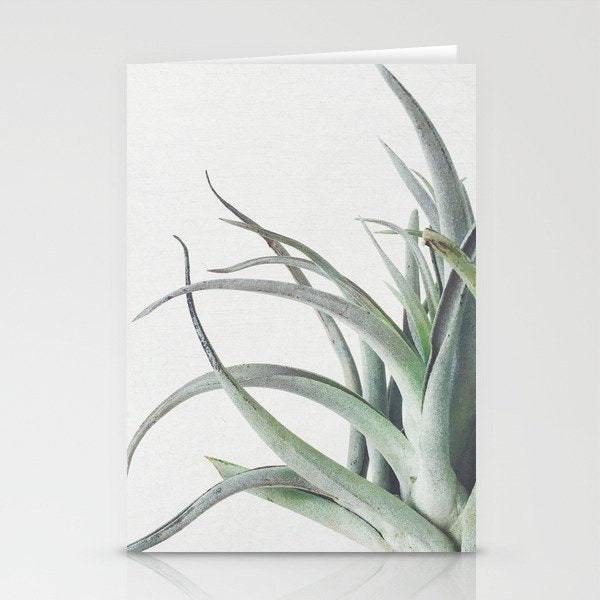 Air Plant II Stationery Card Gallery Image 2
