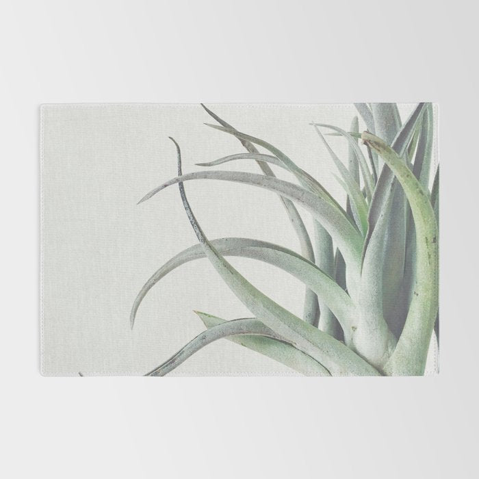 Air Plant II Rug Gallery Image 2