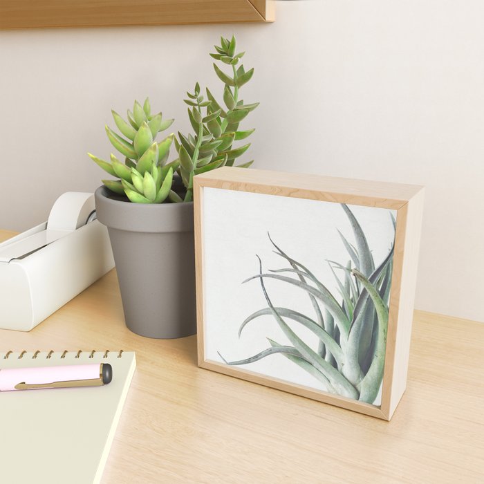 Air Plant II Mini Art Print Gallery Image 2