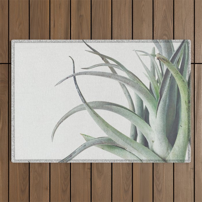 Air Plant II Outdoor Rug Gallery Image 1