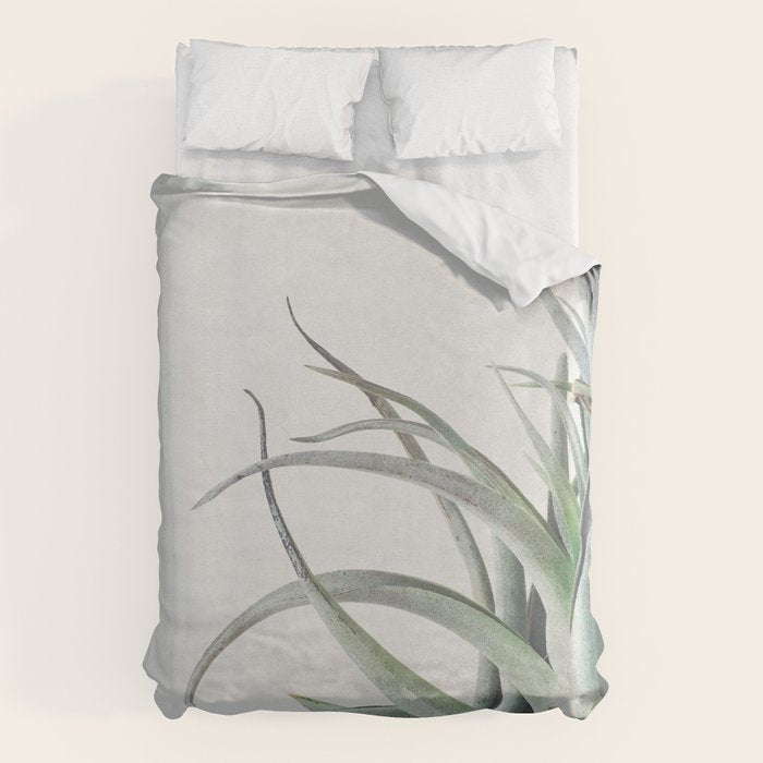 Air Plant II Duvet Cover Gallery Image 6