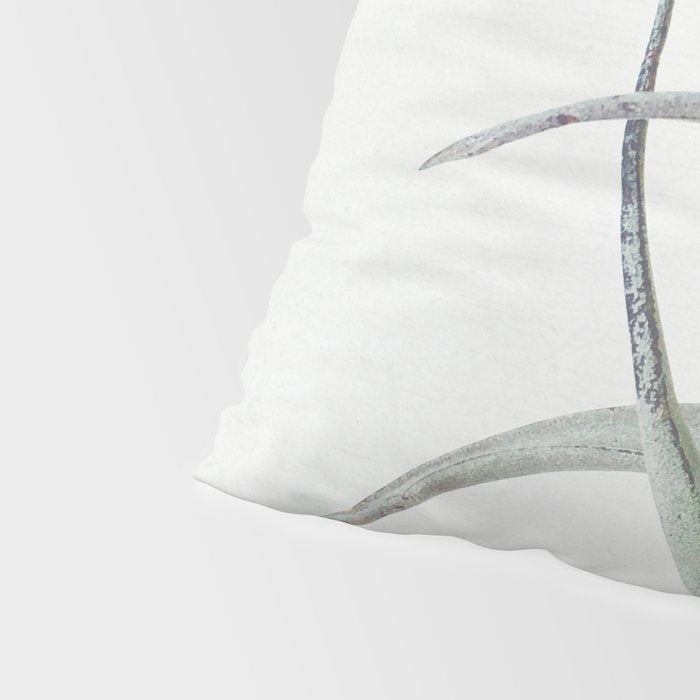 Air Plant II Pillow Sham Gallery Image 4