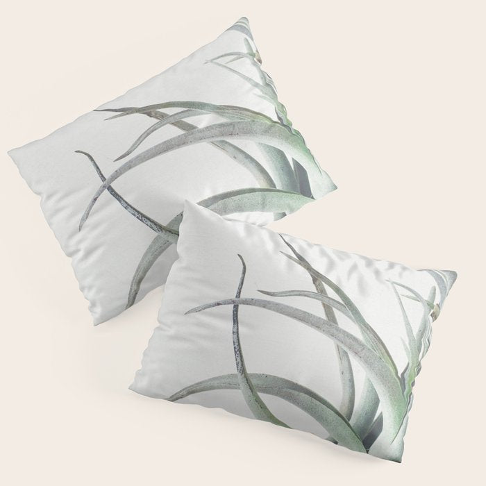 Air Plant II Pillow Sham Gallery Image 3