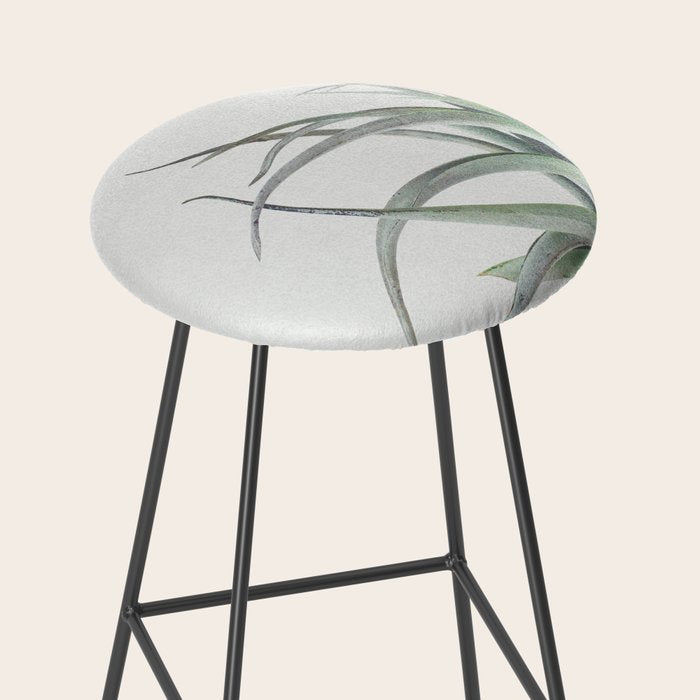 Air Plant II Stool Gallery Image 2
