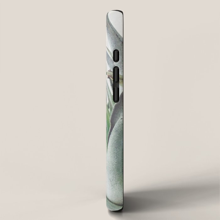 Air Plant II iPhone Case Gallery Image 2