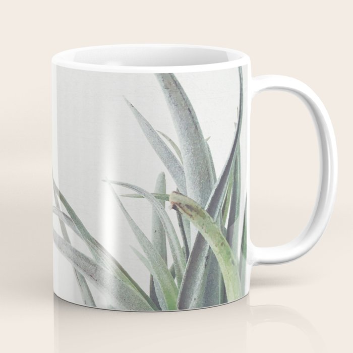 Air Plant II Coffee Mug Gallery Image 1
