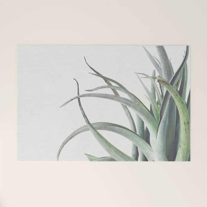 Air Plant II Welcome Mat Gallery Image 1