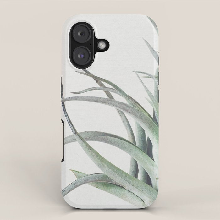 Air Plant II iPhone Case Gallery Image 1