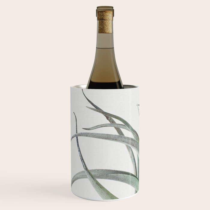 Air Plant II Wine Chiller Gallery Image 1