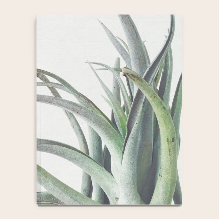 Air Plant II Notebook Gallery Image 4