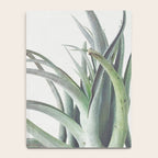 Air Plant II Notebook Gallery Image 4