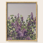Wild Lilacs - spring floral nature photograph Serving Tray Gallery Image 1