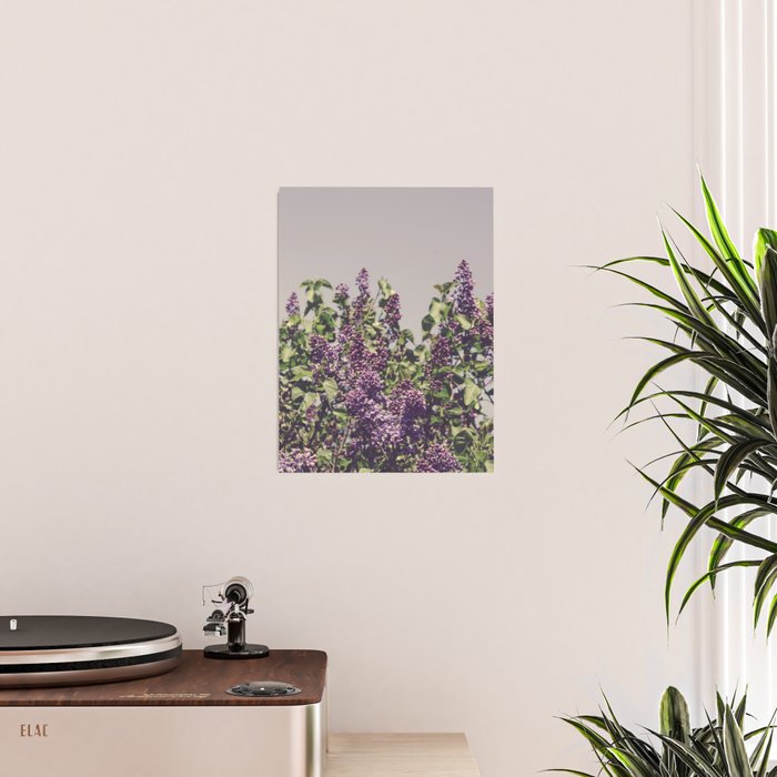 Wild Lilacs - spring floral nature photograph Poster Gallery Image 2