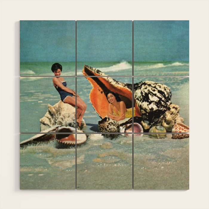 Greetings from Seashells! Wood Wall Art Gallery Image 1