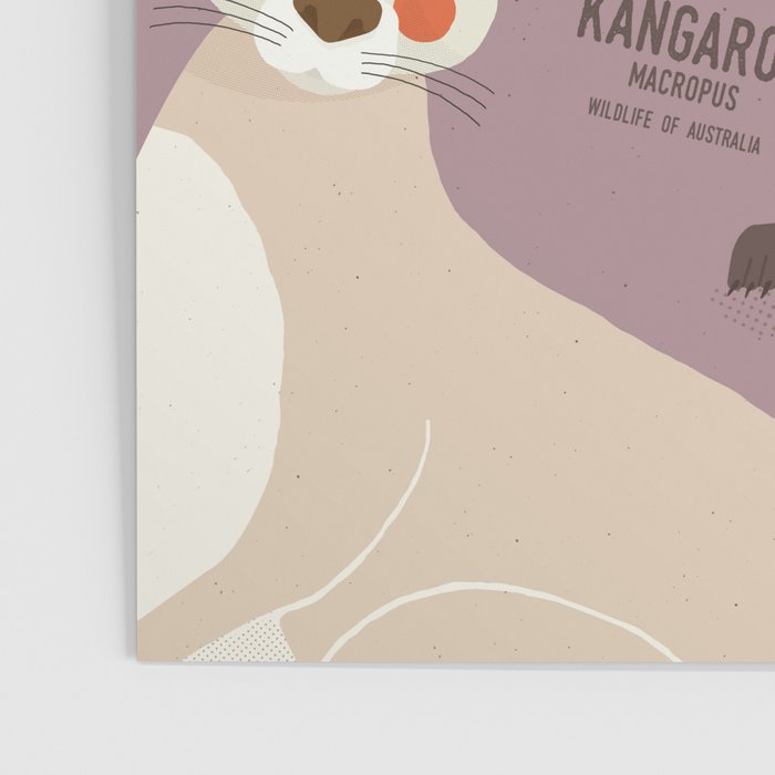 Kangaroo, Wildlife of Australia Poster Gallery Image 3
