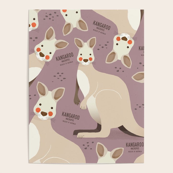 Kangaroo, Wildlife of Australia Poster Gallery Image 1
