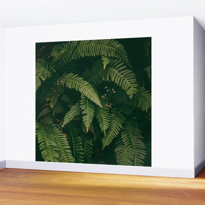 Ferns X Wall Mural Gallery Image 2