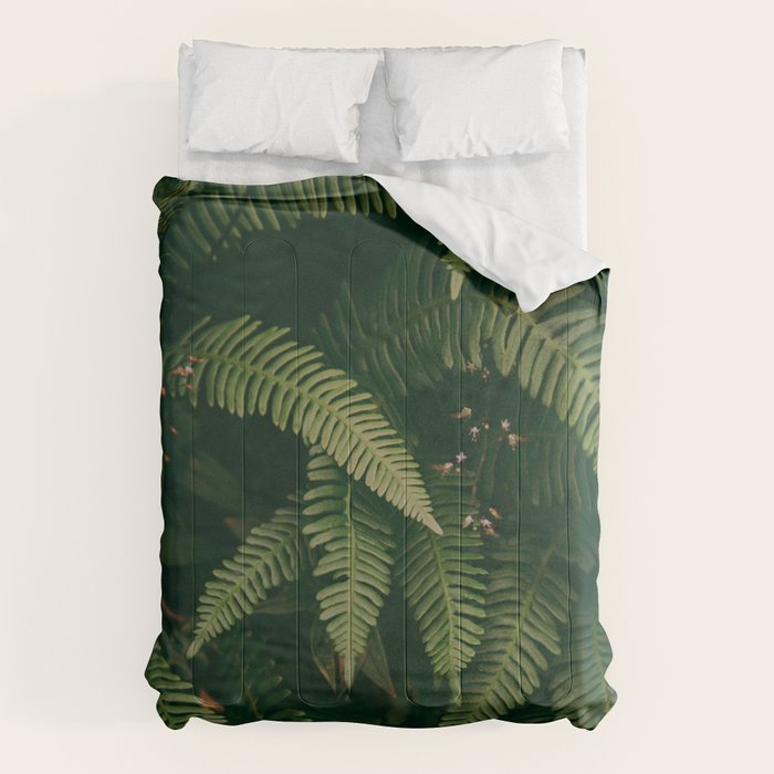 Ferns X Comforter Gallery Image 6
