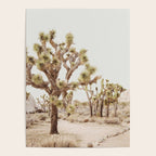 Pale Desert 2 - Joshua Tree Cactus Landscape Photography Poster Gallery Image 4