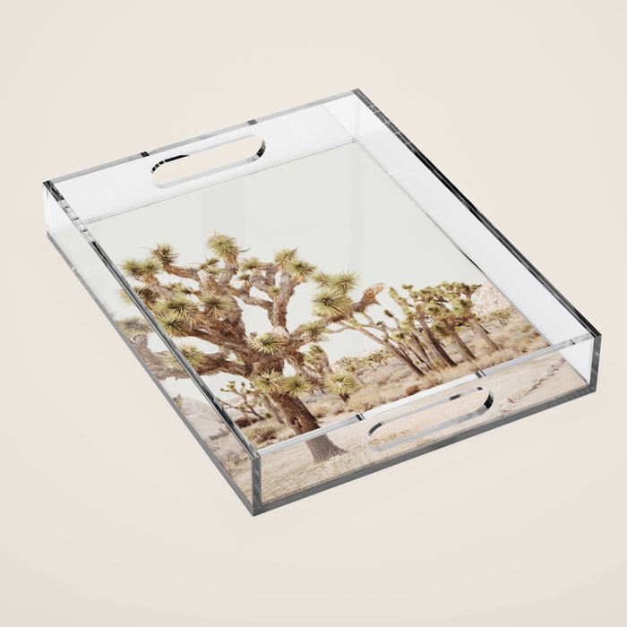 Pale Desert 2 - Joshua Tree Cactus Landscape Photography Acrylic Tray Gallery Image 1