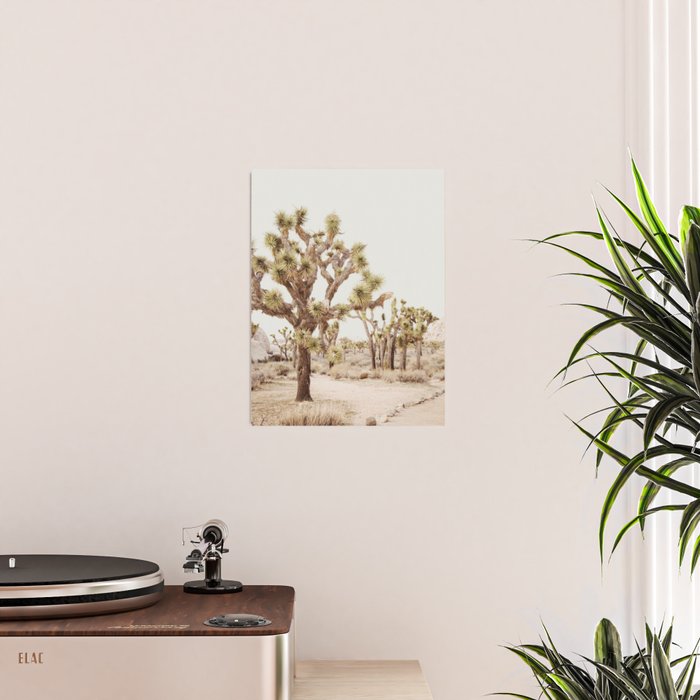 Pale Desert 2 - Joshua Tree Cactus Landscape Photography Poster Gallery Image 2