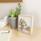 Pale Desert 2 - Joshua Tree Cactus Landscape Photography Mini Art Print Gallery Image 2
