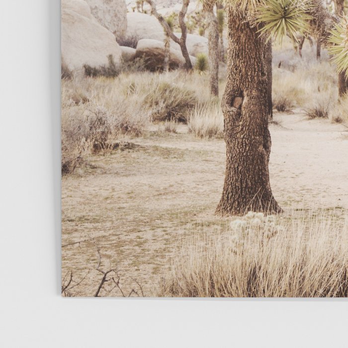 Pale Desert 2 - Joshua Tree Cactus Landscape Photography Poster Gallery Image 3