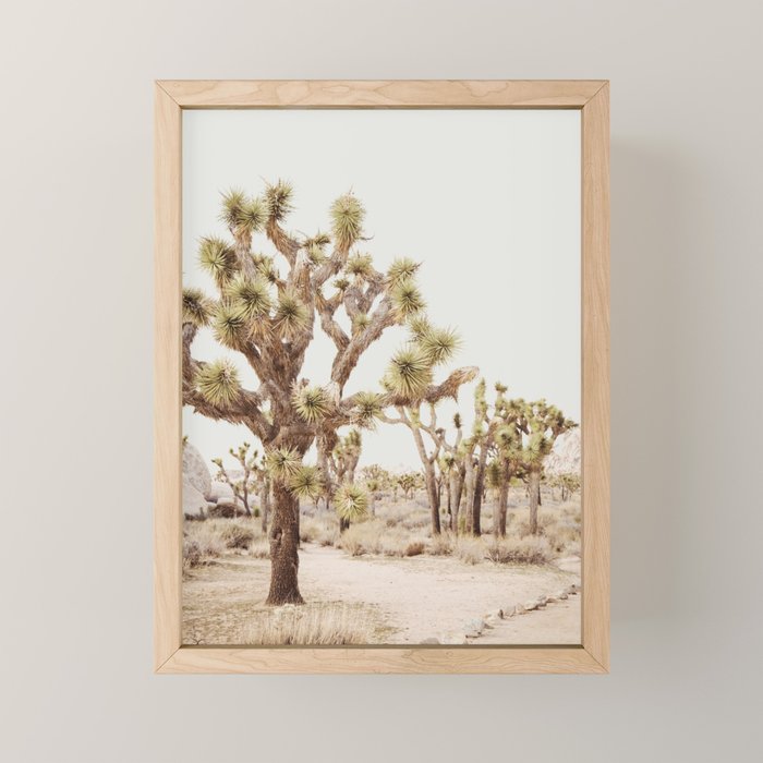 Pale Desert 2 - Joshua Tree Cactus Landscape Photography Mini Art Print Gallery Image 1
