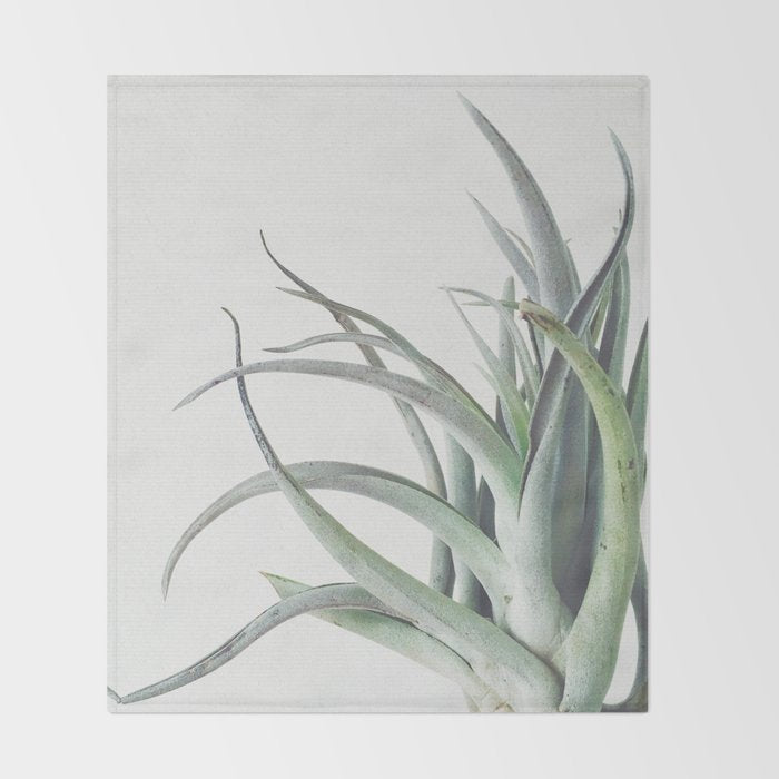 Air Plant II Throw Blanket Gallery Image 2