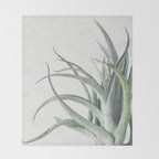 Air Plant II Throw Blanket Gallery Image 2