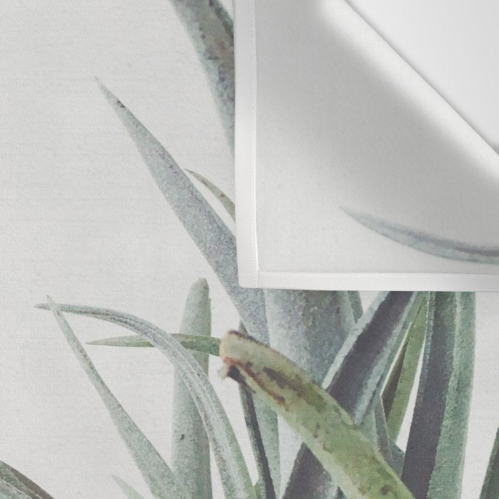 Air Plant II Wall Tapestry Gallery Image 3