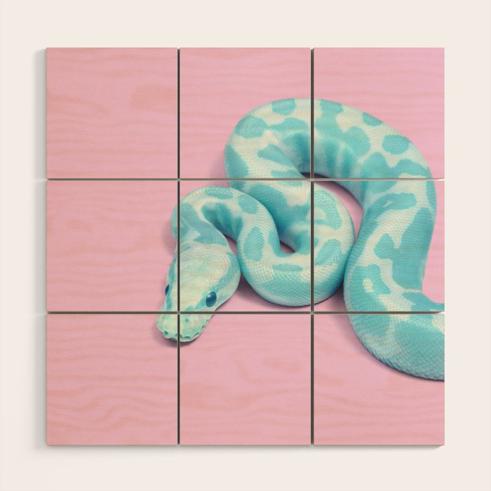 BLUE SNAKE Wood Wall Art Gallery Image 1