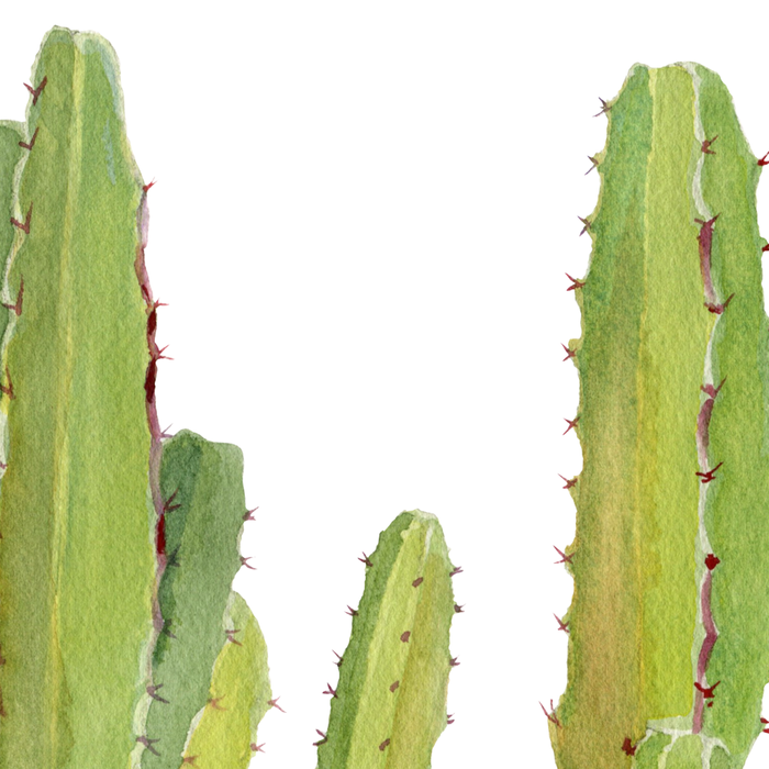 Cactus 2 Coffee Mug Gallery Image 2